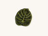 Set of Four Monstera Leaf Cocktail Napkins