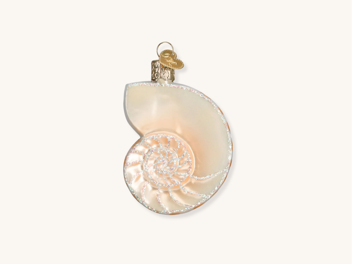 Nautilus Shell Ornament