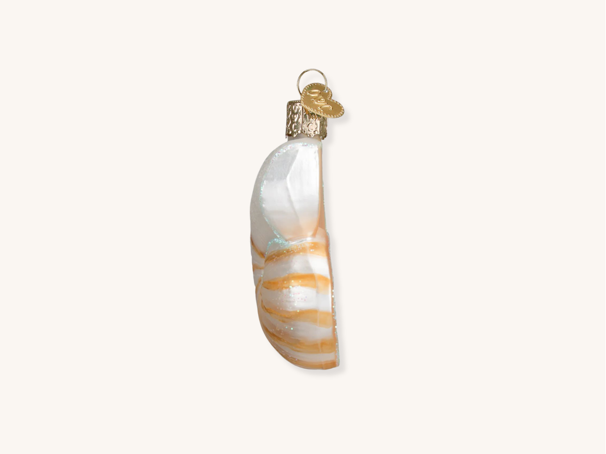 Nautilus Shell Ornament