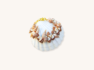 Natural Conch Shell Bracelet