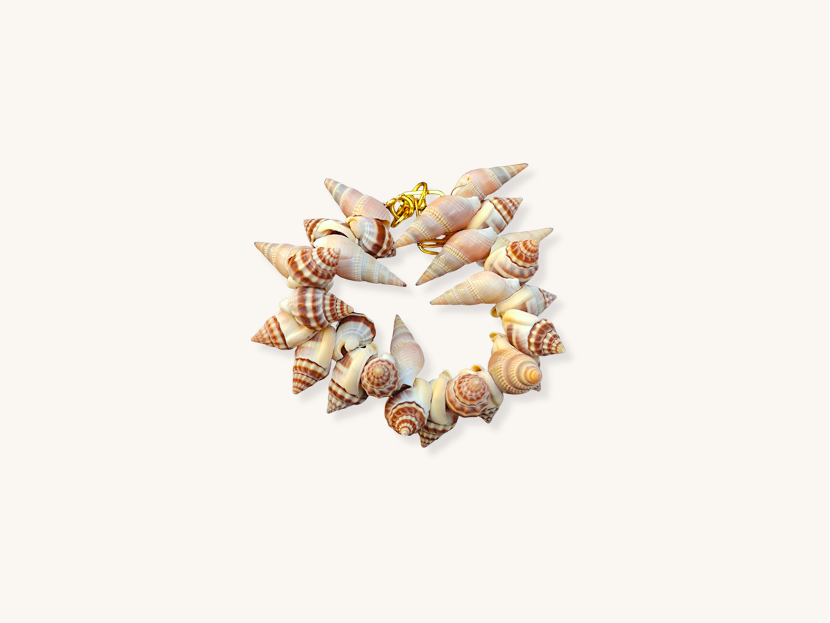 Natural Conch Shell Bracelet