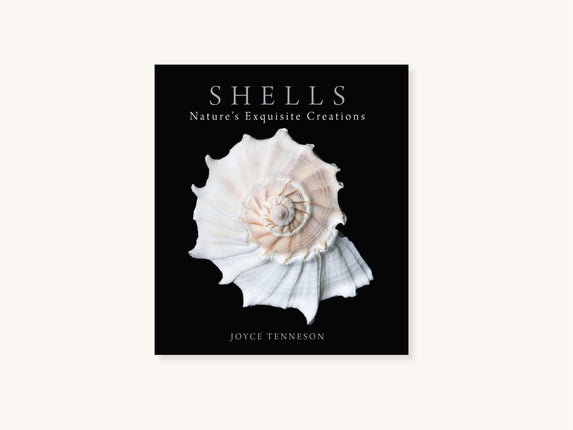 Shells: Nature's Exquisite Creations