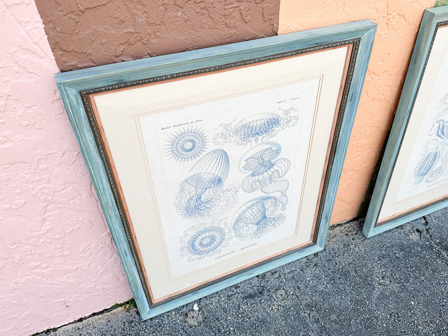 Pair of Jellyfish Prints