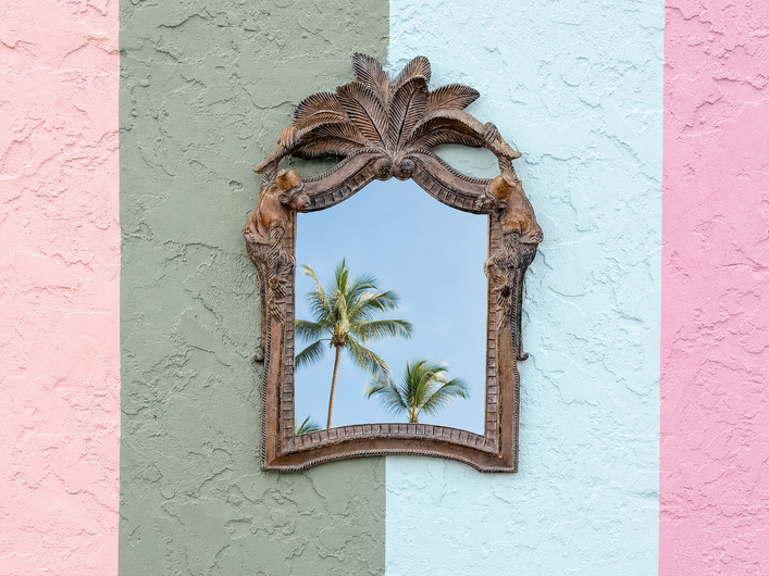 Whimsical Palm and Monkey Mirror