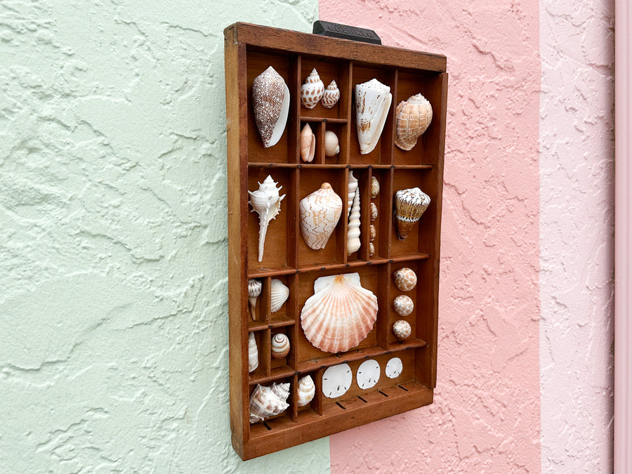 Petite Printers Tray Shell Display