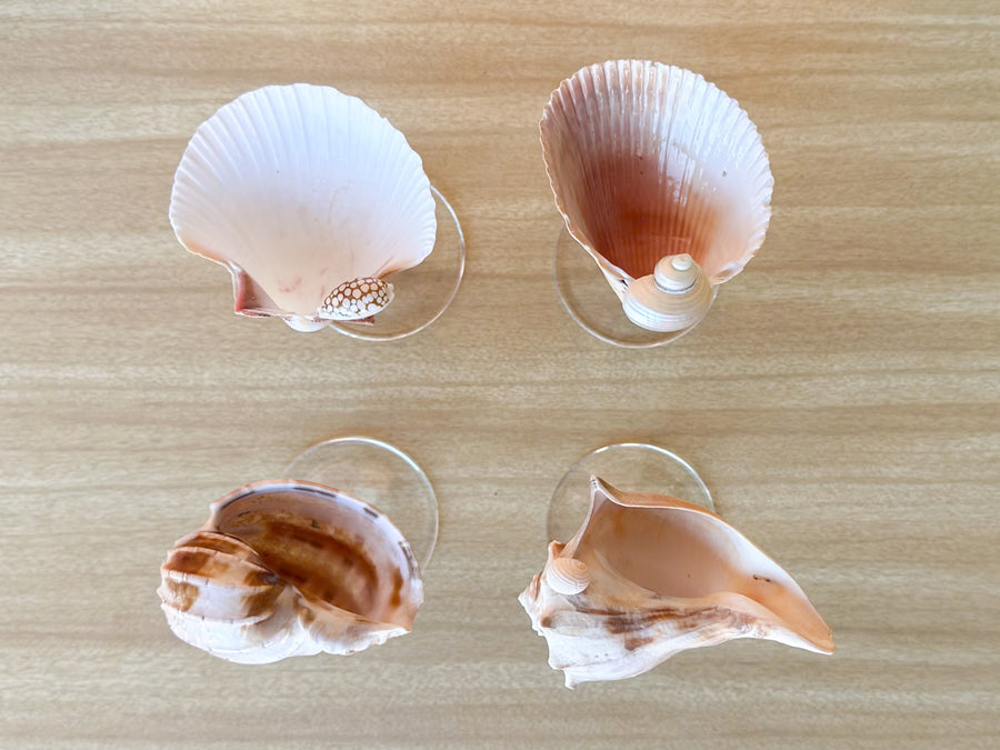 Set of Four Shell Coupes