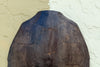 Turtle Shell Wall Art