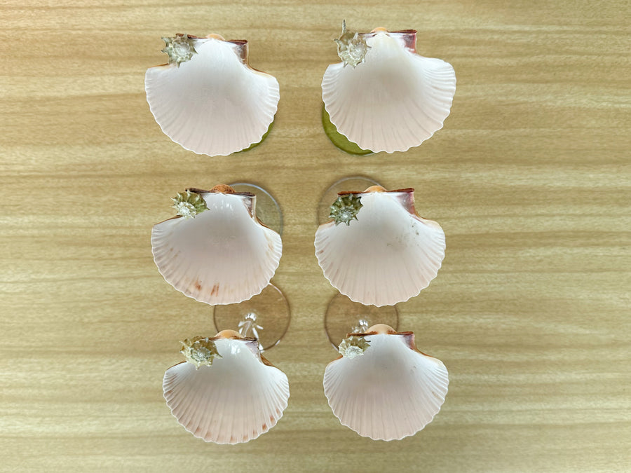 Set of Six Pastel Shell Coupes