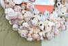 Island Chic Bahamian Shell Round Mirror
