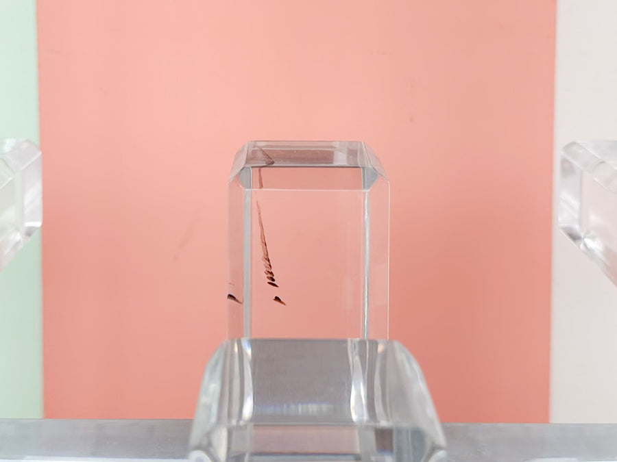 Fab MCM Lucite Side Table