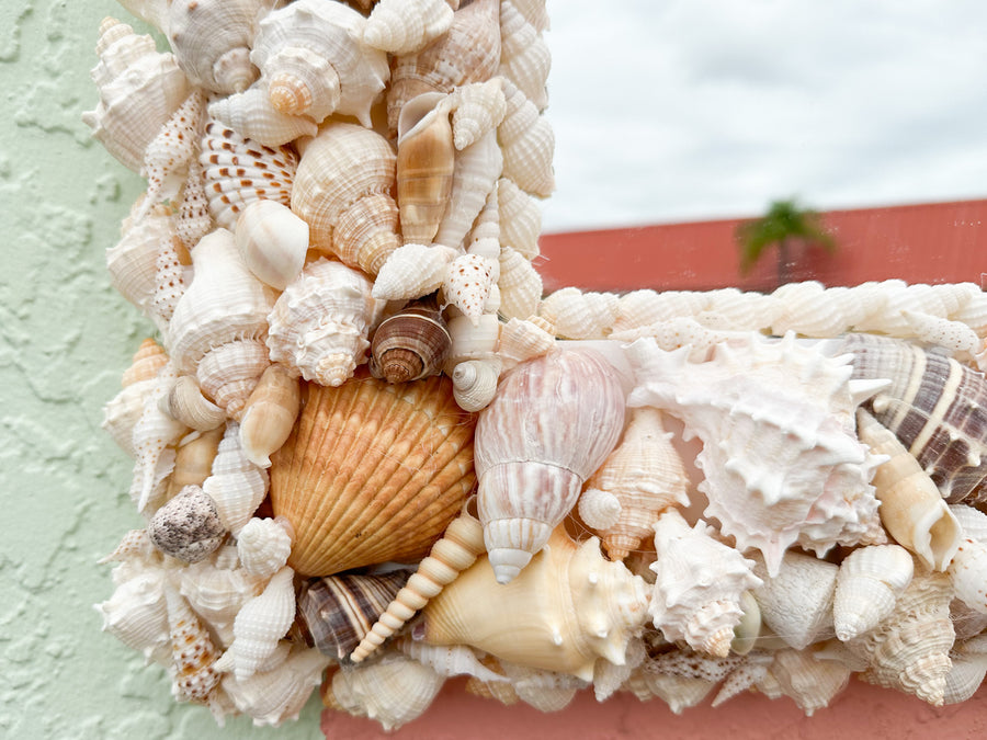 Fab Shell Chic Mirror