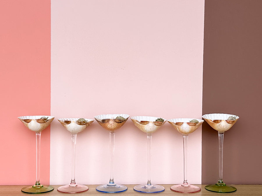 Set of Six Pastel Shell Coupes