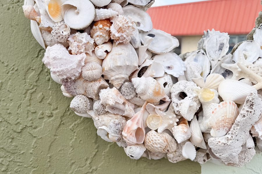 Island Chic Bahamian Shell Round Mirror