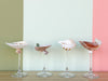 Set of Four Shell Chic Coupes