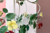 Sweet Floral Tole Chandelier