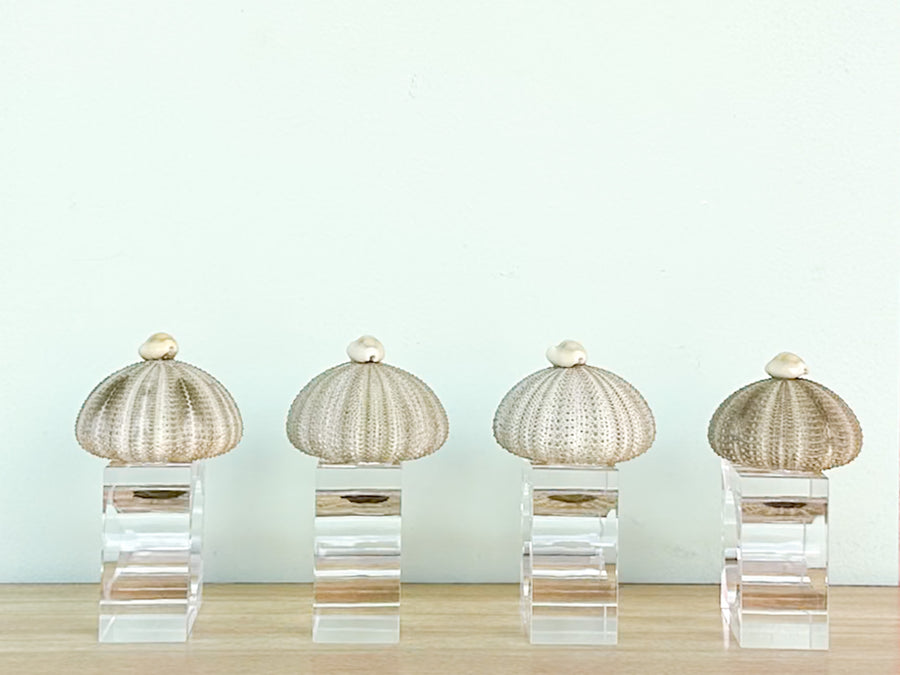 Set of Four Green Sea Urchin Napkin Rings