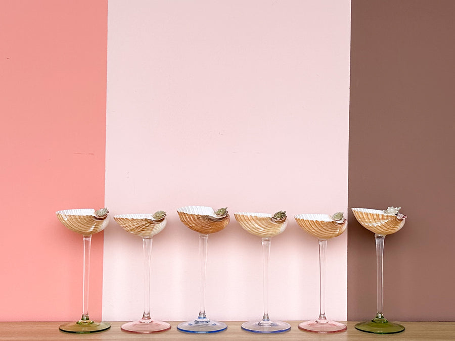 Set of Six Pastel Shell Coupes