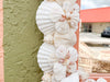 Coral Shell Chic Mirror