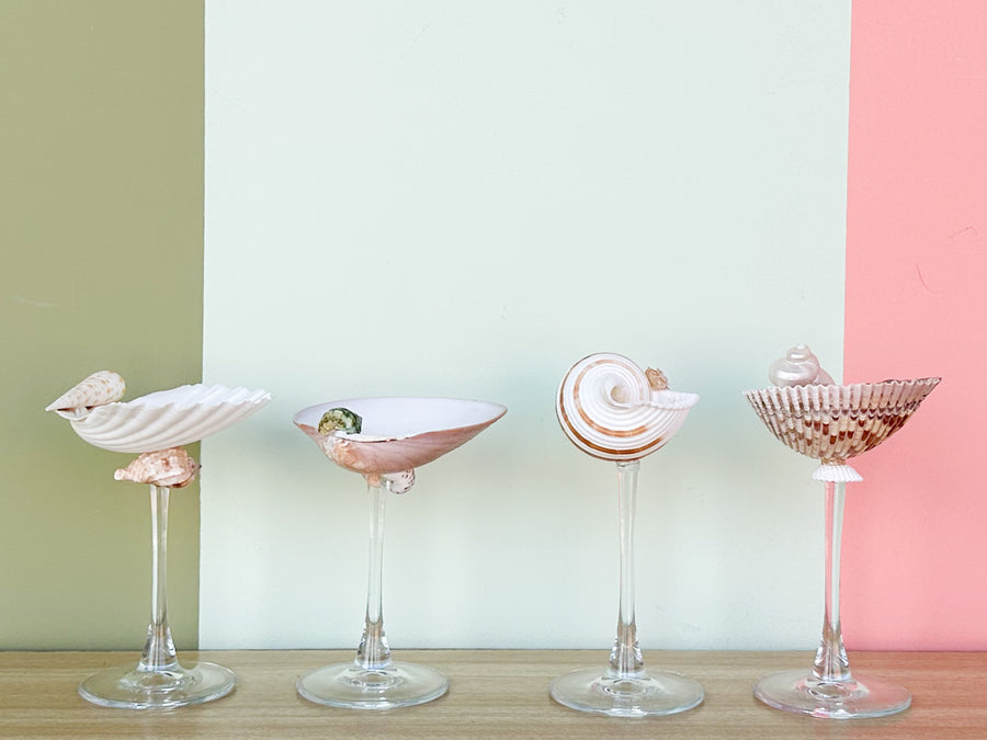 Set of Four Shell Chic Coupes