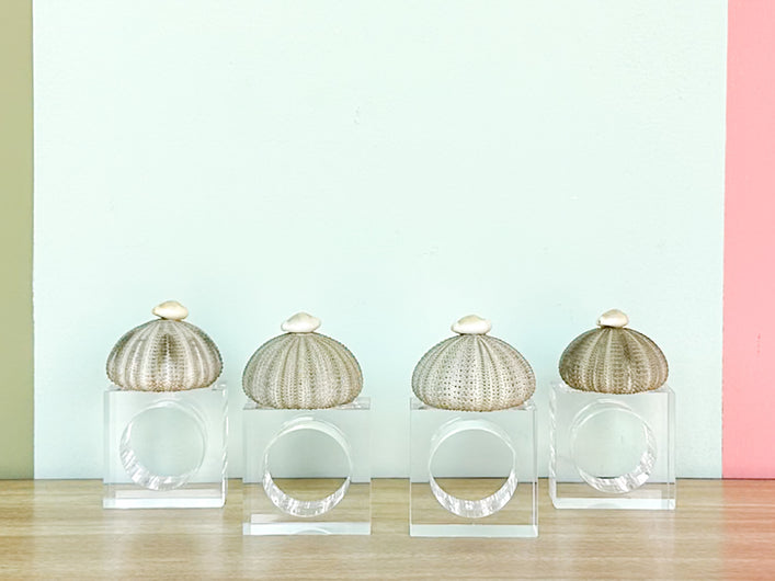 Set of Four Green Sea Urchin Napkin Rings