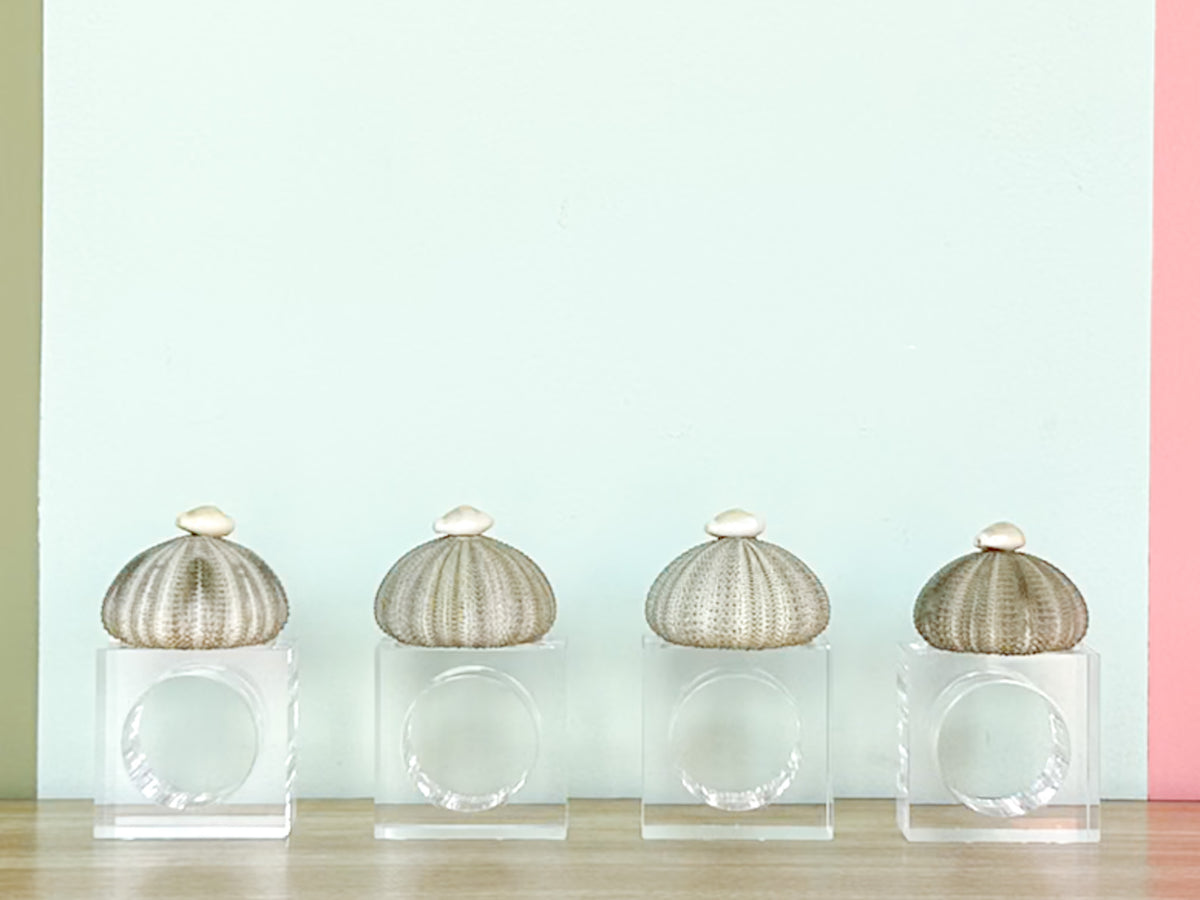 Set of Four Green Sea Urchin Napkin Rings