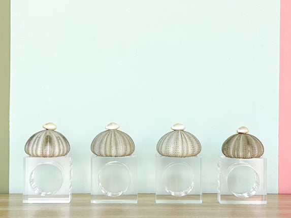 Set of Four Green Sea Urchin Napkin Rings