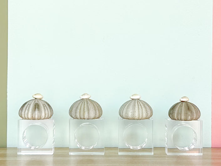 Set of Four Green Sea Urchin Napkin Rings