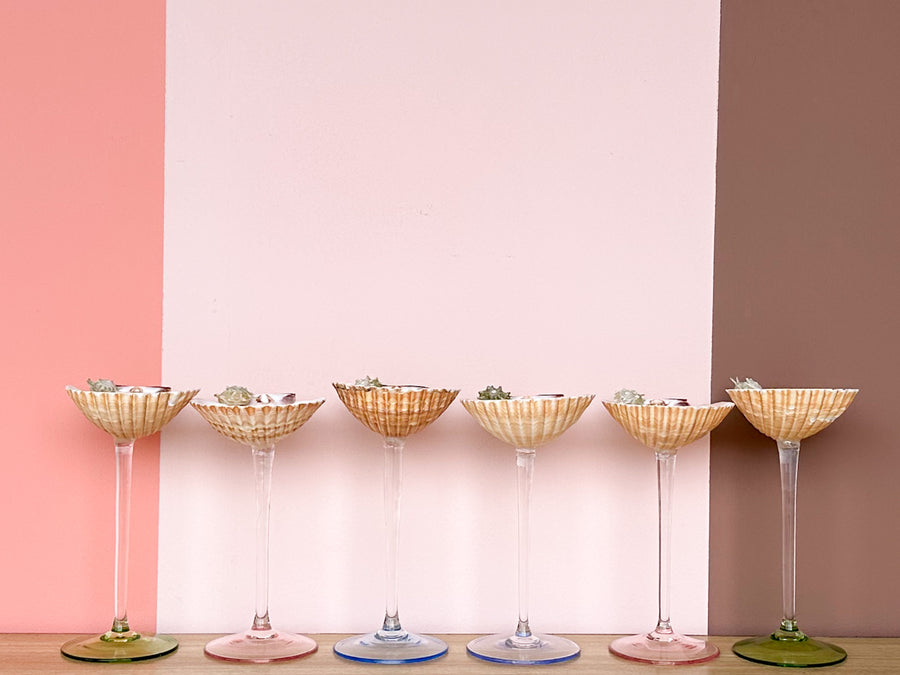 Set of Six Pastel Shell Coupes
