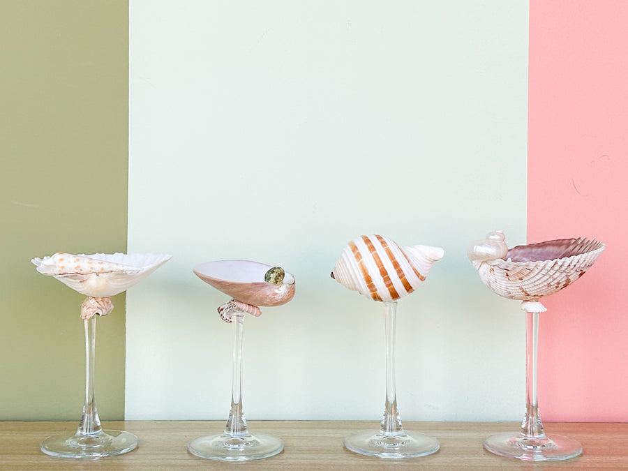 Set of Four Shell Chic Coupes