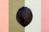 Turtle Shell Wall Art
