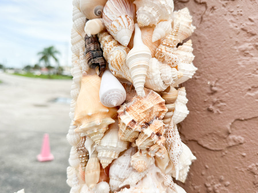 Fab Shell Chic Mirror