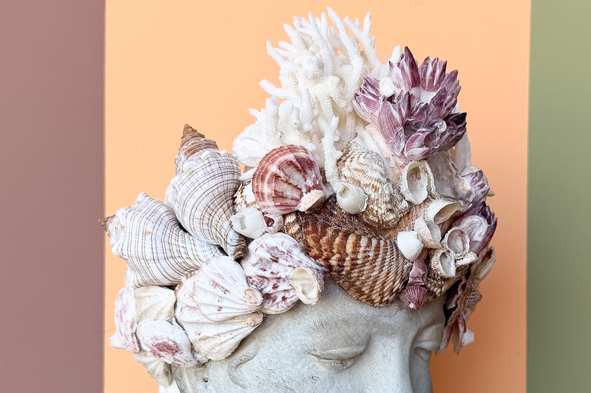 Shell Chic Medium Bust