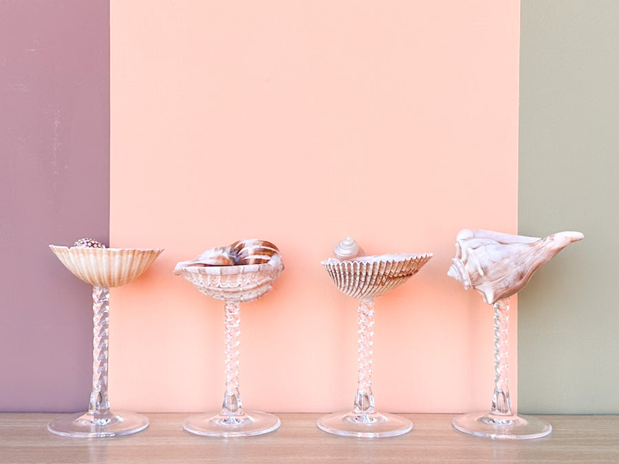 Set of Four Shell Coupes