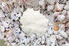 Island Chic Bahamian Shell Round Mirror