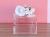 Lucite Green Shell Box