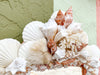 Coral Shell Chic Mirror