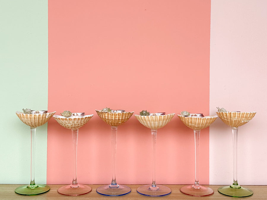 Set of Six Pastel Shell Coupes