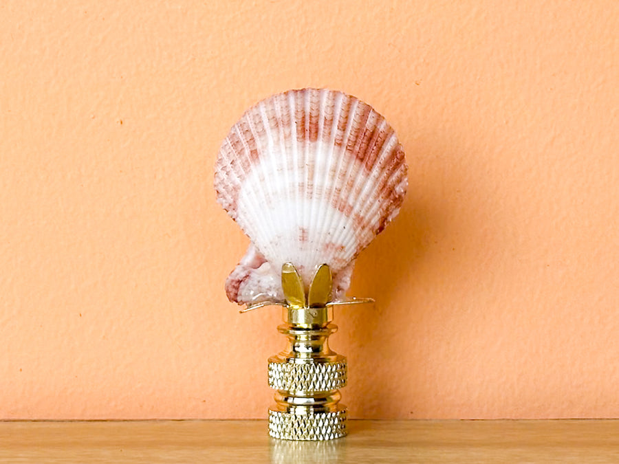 Scallop Shell Finial