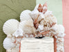 Coral Shell Chic Mirror