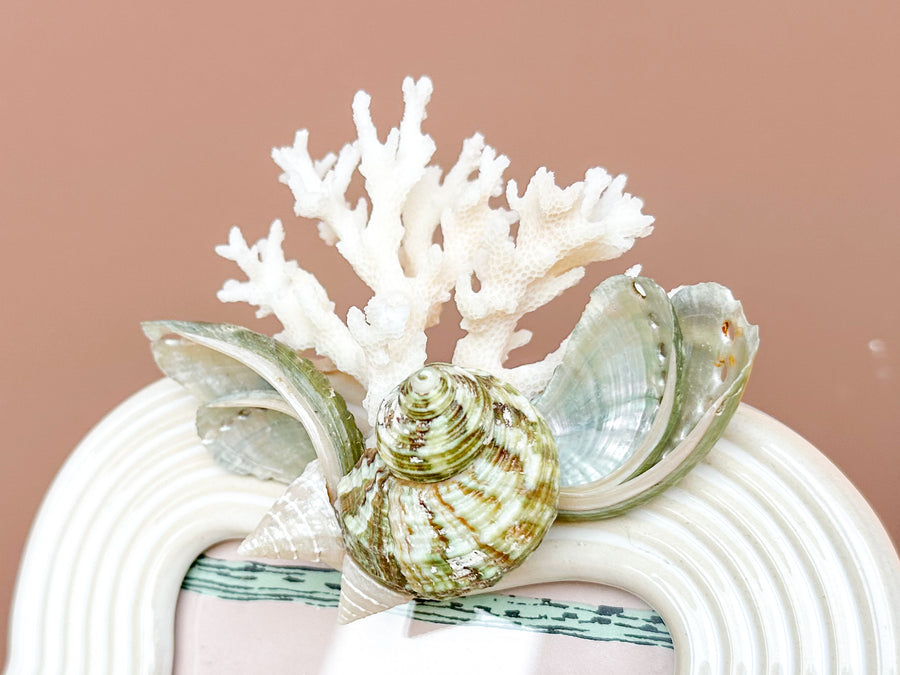 Green Abalone and Coral Frame