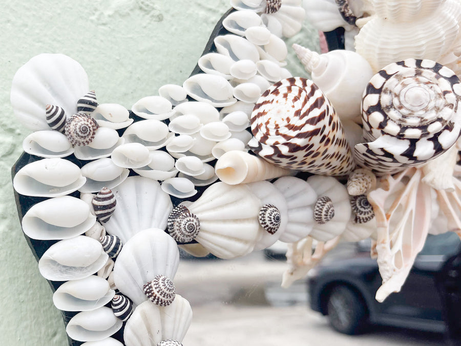 Black and White Shell Chic Mirror