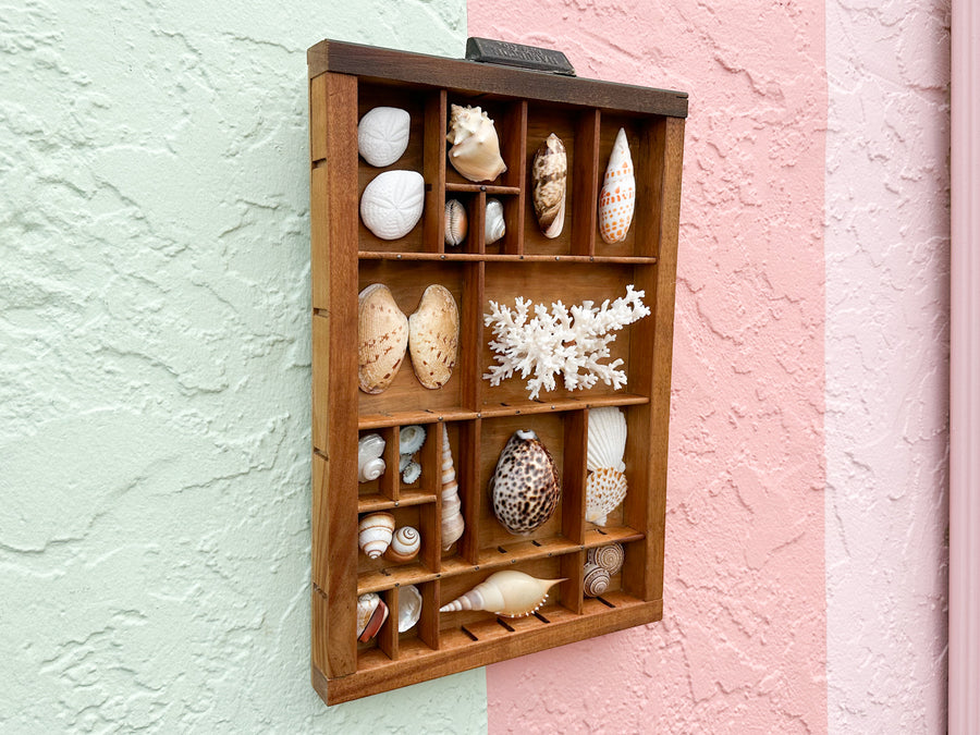 Petite Printers Tray Shell Display