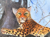 Lounging Leopard Original Art