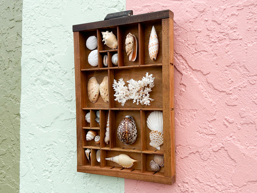 Petite Printers Tray Shell Display