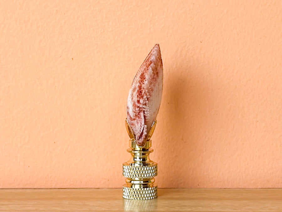 Scallop Shell Finial