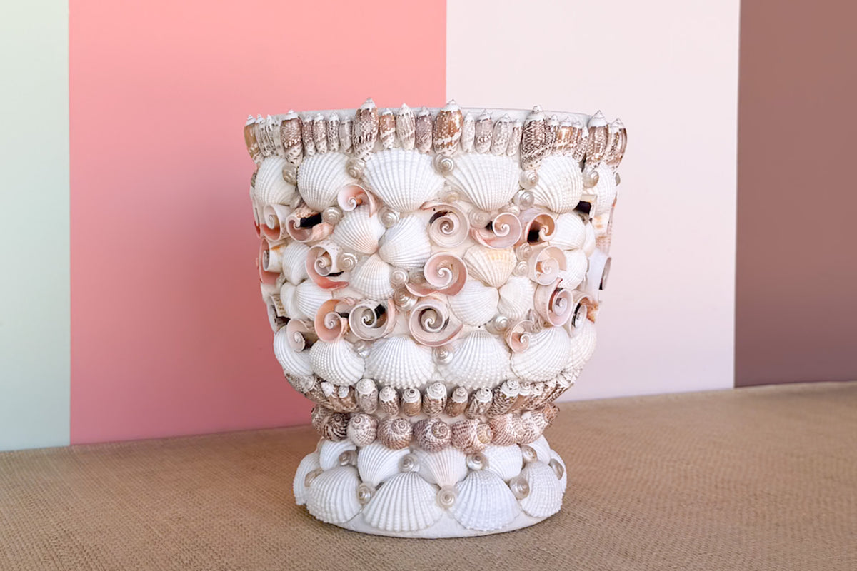 Shell Chic Cachepot