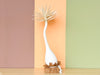 Cute Canvas Tabletop Palm Tree