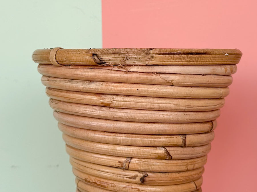 Pair of Natural Pencil Reed Vases