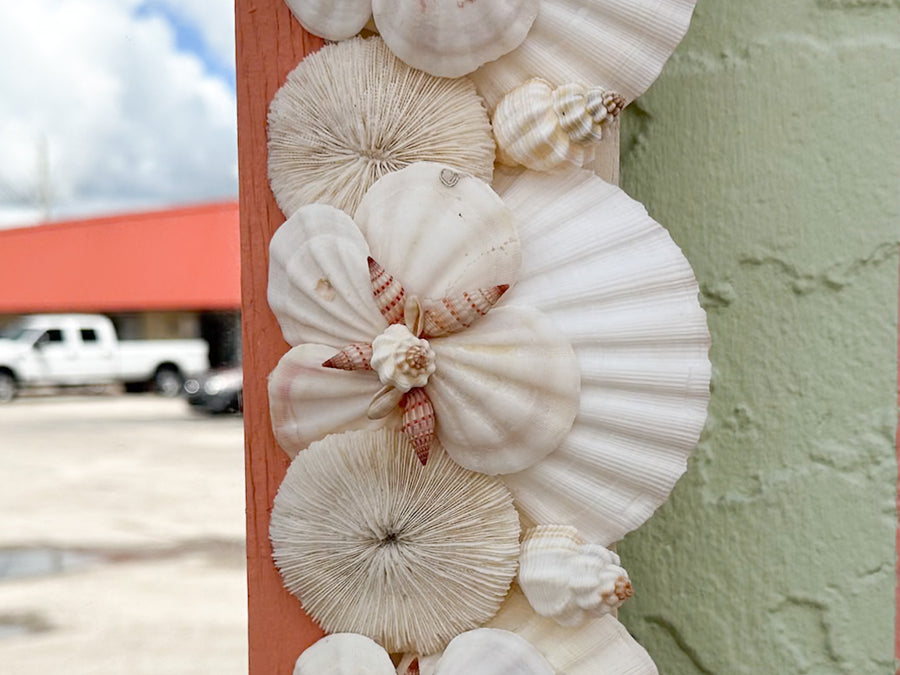 Coral Shell Chic Mirror