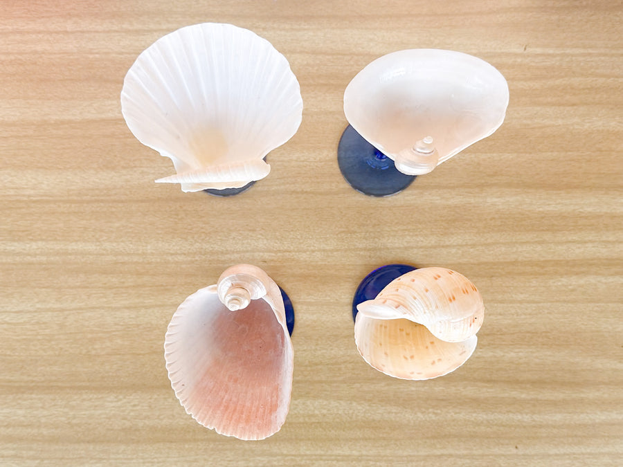 Set of Four Blue Stem Shell Coupes